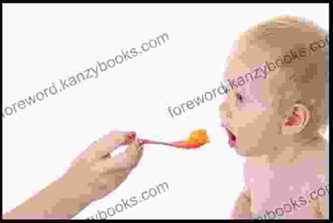 A Photo Of A Baby Eating Pureed Food From A Spoon The Diaper Menu: Baby Food And Other Kid Friendly Meals: Pacifier Friendly And Kid Approved Foods