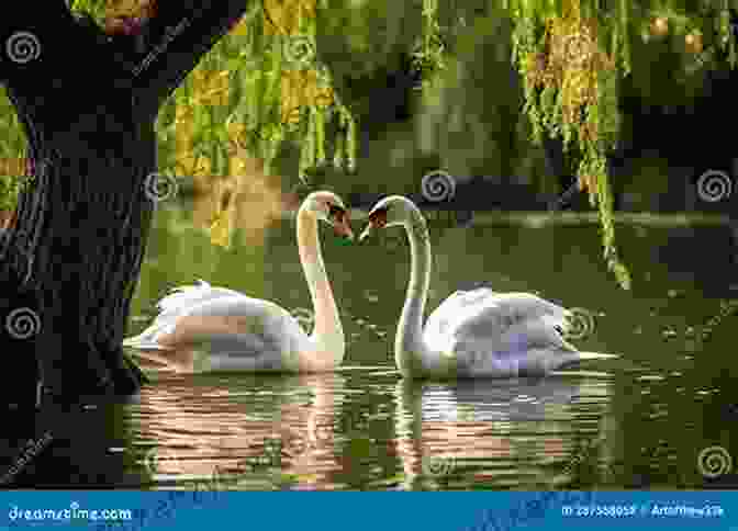 A Serene Lake, Surrounded By Weeping Willows And Swans, With A Couple Sitting On A Bench, Gazing Into The Water Valour In Valentineville: A Valentine S Day Fantasy (Myths Of The Middle Lands 1)