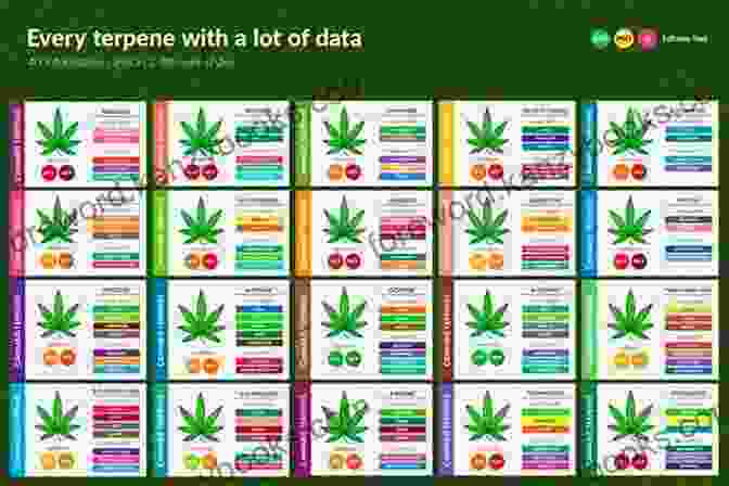 An Infographic Style Chart Showcasing Various Cannabis Strains, Their THC And CBD Levels, And Their Recommended Pairings With Different Types Of Dishes. Canna Madness Dinner Party By Sean Cummings: Cooking With Cannabis