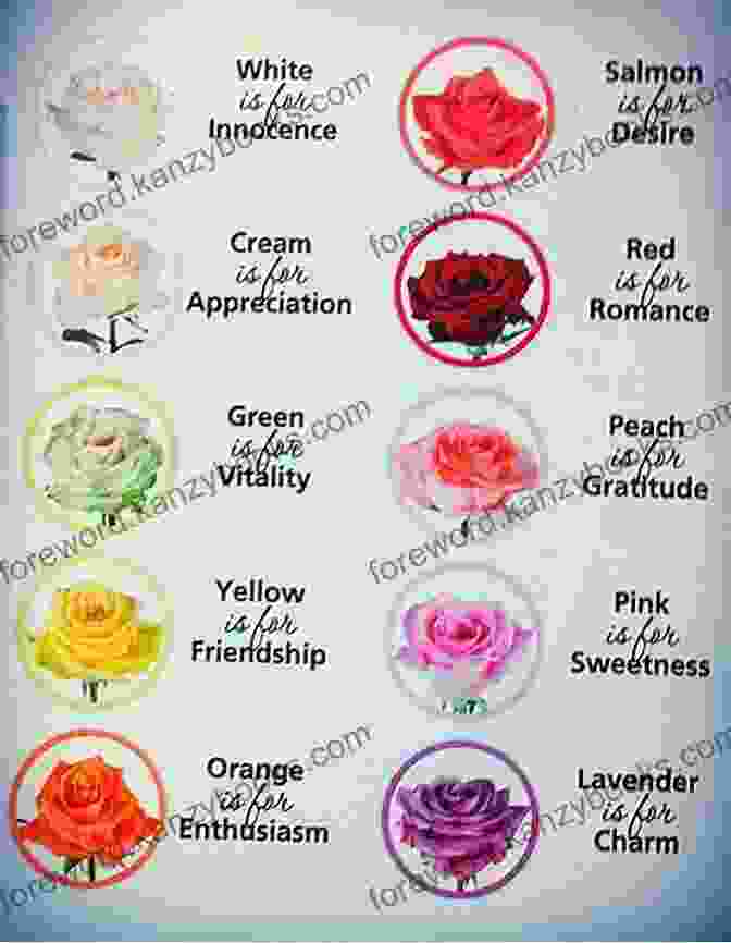 Colorful Chart Showcasing The Language And Symbolism Of Flower Essences The Bloom Book: A Flower Essence Guide To Cosmic Balance