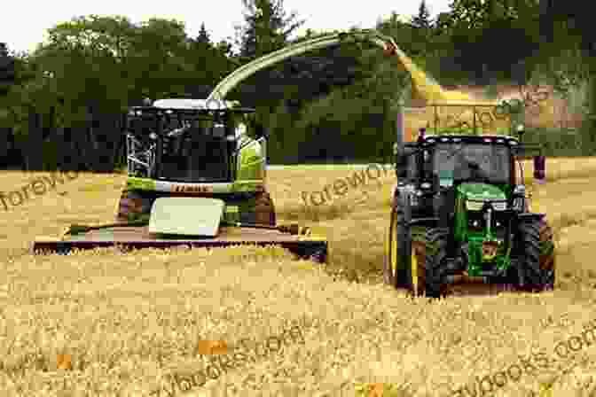 Harvesting And Storing Grain Crops Homegrown Whole Grains: Grow Harvest And Cook Wheat Barley Oats Rice Corn And More