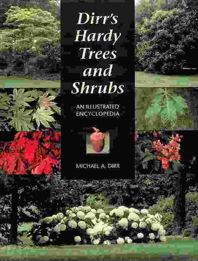 The Cover Of Dirr's Encyclopedia Of Trees And Shrubs, Featuring A Vibrant Array Of Plant Life. Dirr S Encyclopedia Of Trees And Shrubs