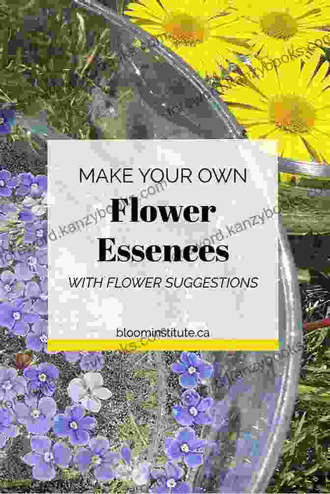 Vibrant Flower Essence Illuminating The Path To Cosmic Balance The Bloom Book: A Flower Essence Guide To Cosmic Balance