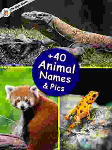 +40 Animal High Quality Pictures With Names: Animal Encyclopedia For Kids Little Kids Picture (Animals Discovery 1)