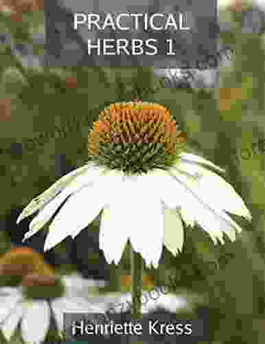 Practical Herbs 1 Henriette Kress