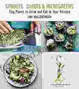 Sprouts Shoots And Microgreens: Tiny Plants To Grow And Eat In Your Kitchen