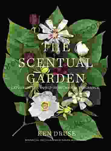 The Scentual Garden: Exploring The World Of Botanical Fragrance