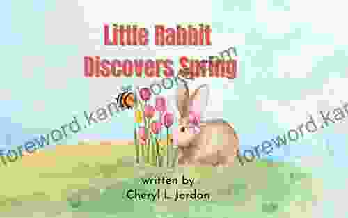 Little Rabbit Discovers Spring: Learn About The Senses (Little Rabbit S Learning Adventures)